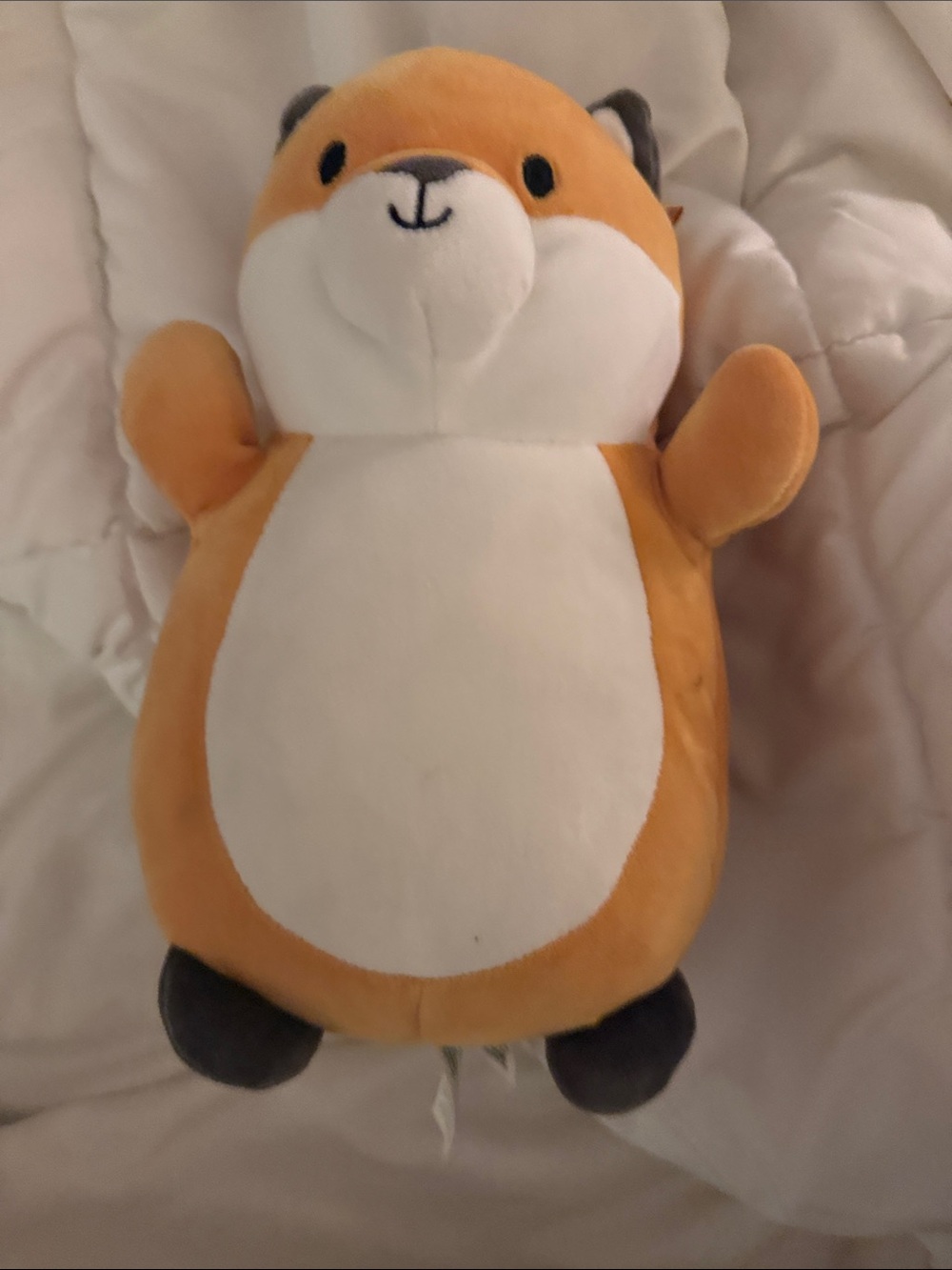 Squishmallows Orange and White Plush Fox